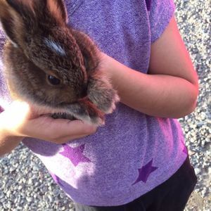 Meet your Posher, Kendal